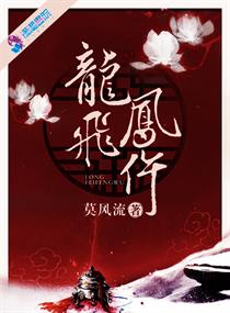 龍飛鳳仵小說封面