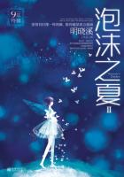 泡沫之夏II（9年特輯）小说封面